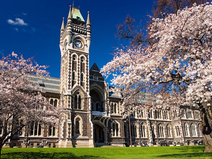 University of Otago Scholarship 2021-2022 New Zealand- Fully Funded